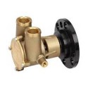 Vetus STM8921 Raw Water Pump