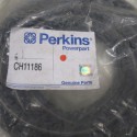 PERKINS CH11186 BELT,FAN
