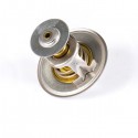 Perkins 2485613 Thermostat