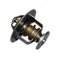 Northern Lights 35-11000 Thermostat