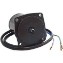 Evinrude / Johnson 435532 Tilt-Trim Motor