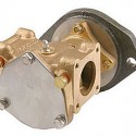 Sherwood P-1710A PUMP GP-AUXILIARY SEA WATER