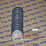 10000-46808 Main Bearing