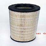 Fleetguard AF25795 AIR FILTER