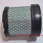 D141106 Air Filter Secondary